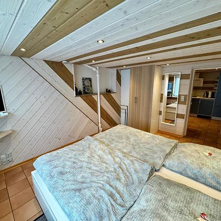 Schwabennestle - Ferienwohnung Albstadt-Onstmettingen المظهر الخارجي الصورة